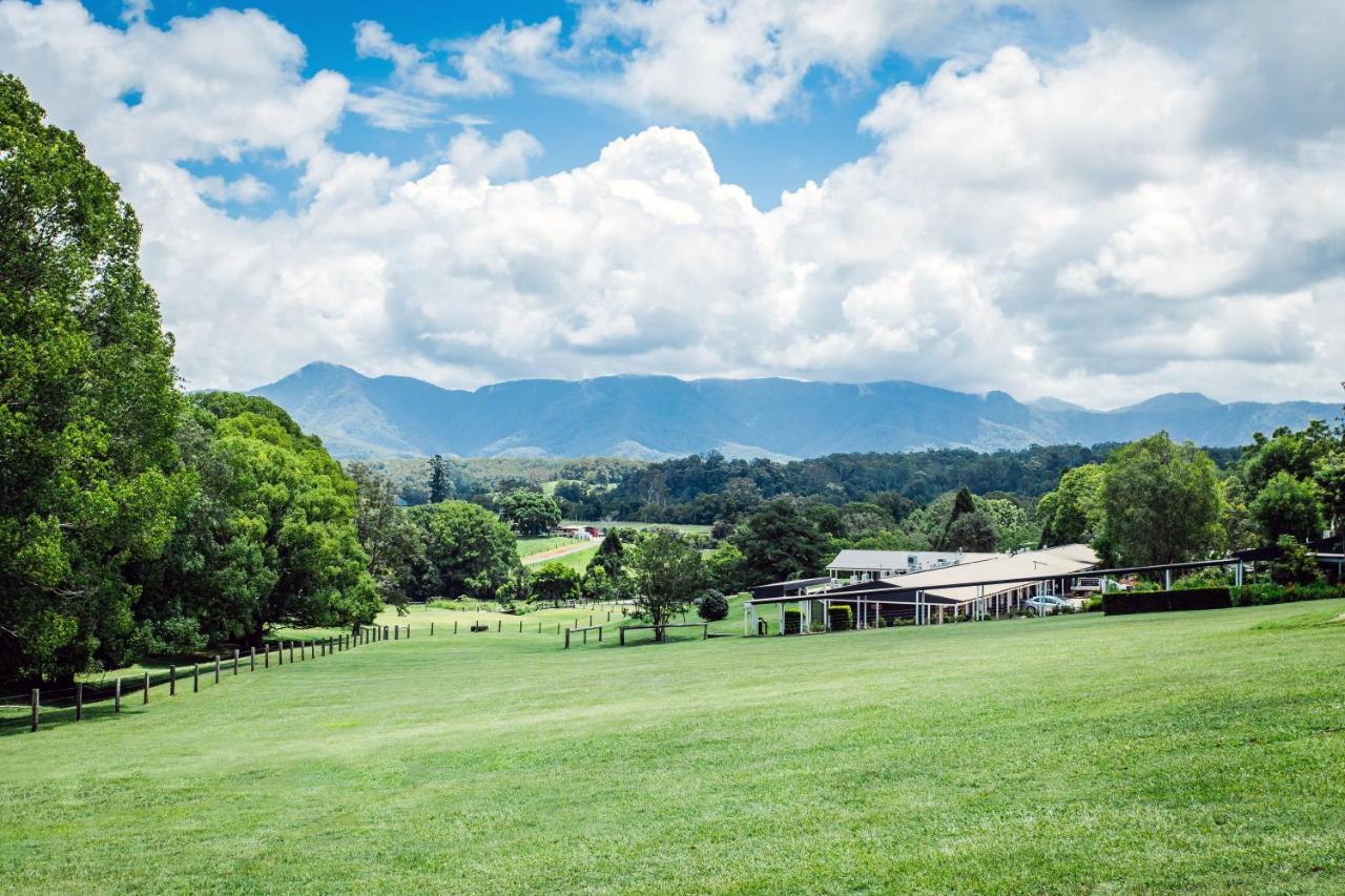 The Motel Bellingen